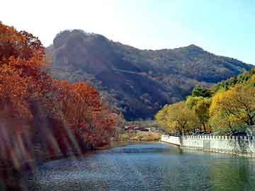 澳门精准正版免费大全14年新，医药化工